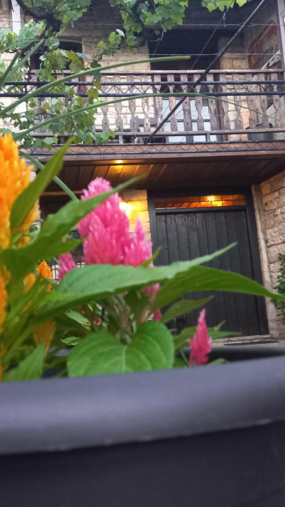 Guesthouse Selini Віца Екстер'єр фото